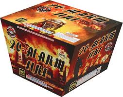 RACCOON 20 ALARM FIRE- CASE 4/1
